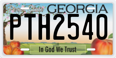 GA license plate PTH2540