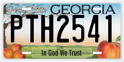 GA license plate PTH2541
