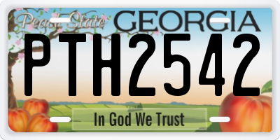 GA license plate PTH2542
