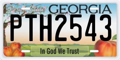 GA license plate PTH2543