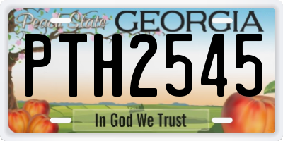 GA license plate PTH2545