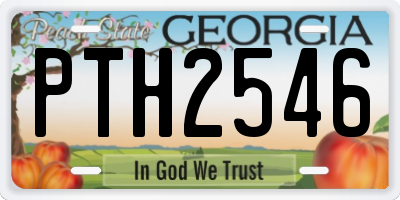 GA license plate PTH2546