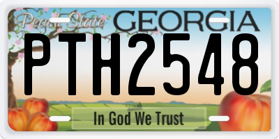 GA license plate PTH2548