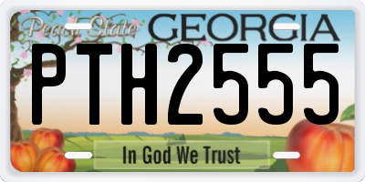GA license plate PTH2555