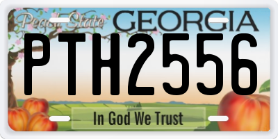 GA license plate PTH2556