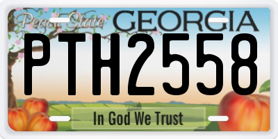 GA license plate PTH2558
