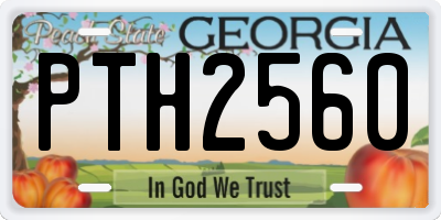 GA license plate PTH2560