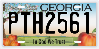 GA license plate PTH2561