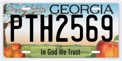 GA license plate PTH2569