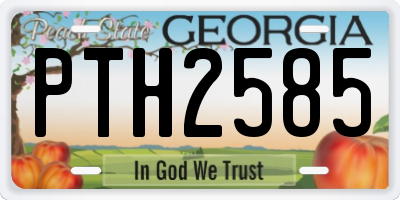 GA license plate PTH2585