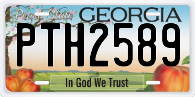GA license plate PTH2589
