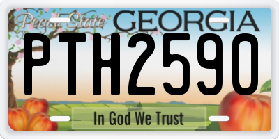 GA license plate PTH2590