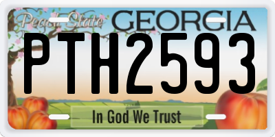 GA license plate PTH2593