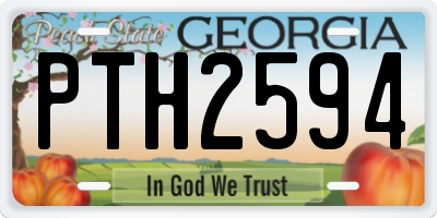 GA license plate PTH2594