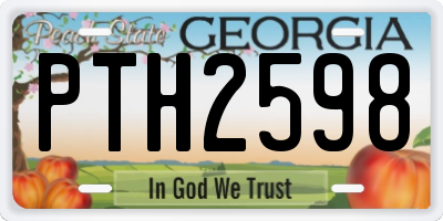 GA license plate PTH2598