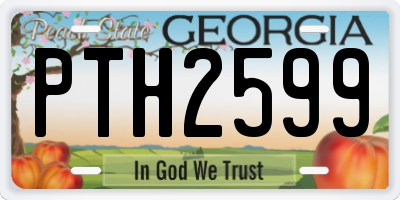 GA license plate PTH2599