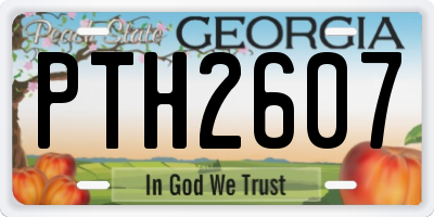 GA license plate PTH2607