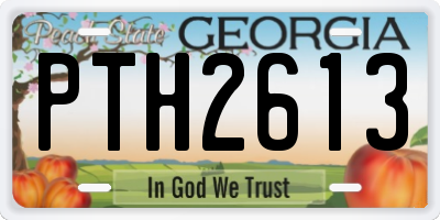 GA license plate PTH2613