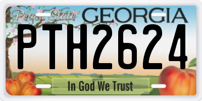 GA license plate PTH2624