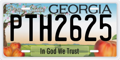GA license plate PTH2625