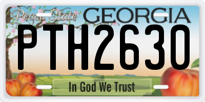 GA license plate PTH2630