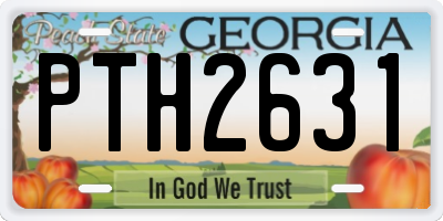 GA license plate PTH2631
