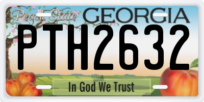 GA license plate PTH2632
