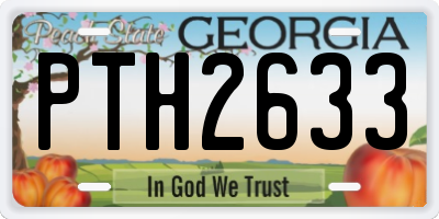 GA license plate PTH2633