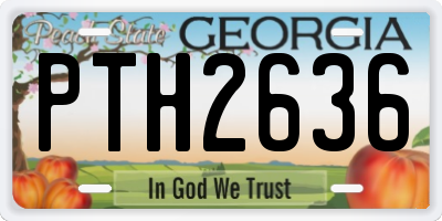 GA license plate PTH2636