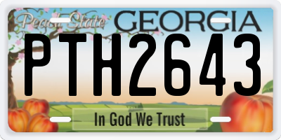 GA license plate PTH2643