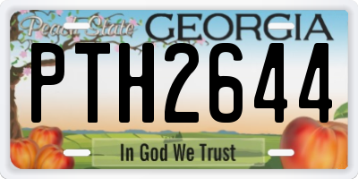 GA license plate PTH2644