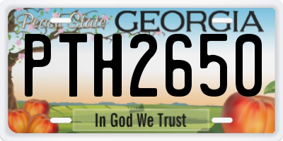 GA license plate PTH2650