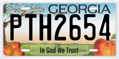 GA license plate PTH2654