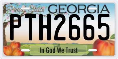 GA license plate PTH2665