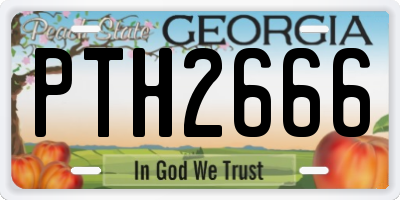 GA license plate PTH2666