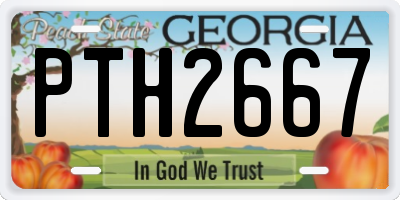 GA license plate PTH2667