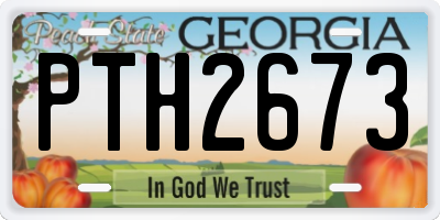 GA license plate PTH2673