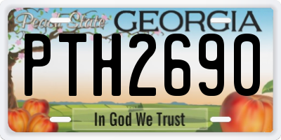 GA license plate PTH2690