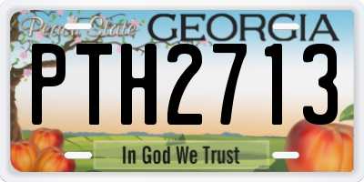 GA license plate PTH2713