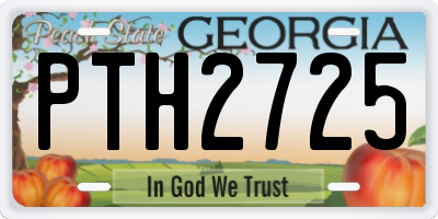 GA license plate PTH2725