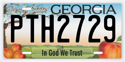GA license plate PTH2729