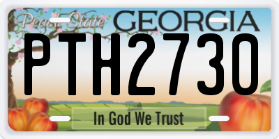 GA license plate PTH2730
