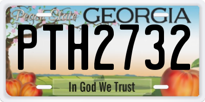 GA license plate PTH2732