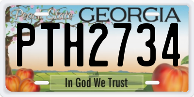 GA license plate PTH2734