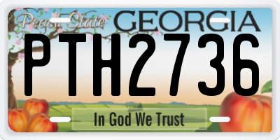 GA license plate PTH2736