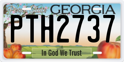 GA license plate PTH2737