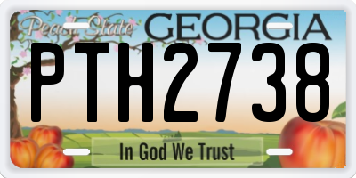 GA license plate PTH2738