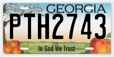 GA license plate PTH2743