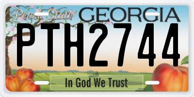 GA license plate PTH2744