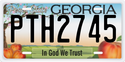 GA license plate PTH2745